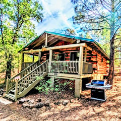 Cozy Cub Log Cabin