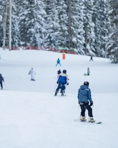 Skiers and snowboarders on snowy slope surrounded by snow-covered evergreen trees