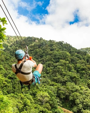 Person zip-lining through dense green forest canopy with forested hills in background