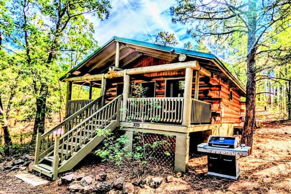 Cozy Cub Log Cabin - Image 1