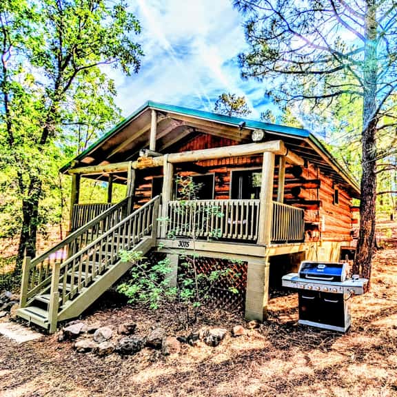Cozy Cub Log Cabin - Image 1