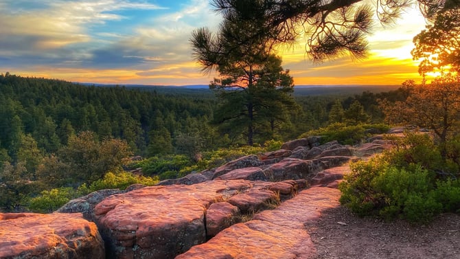 Pinetop Lakeside